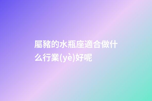 屬豬的水瓶座適合做什么行業(yè)好呢-第1張-星座運勢-玄機派