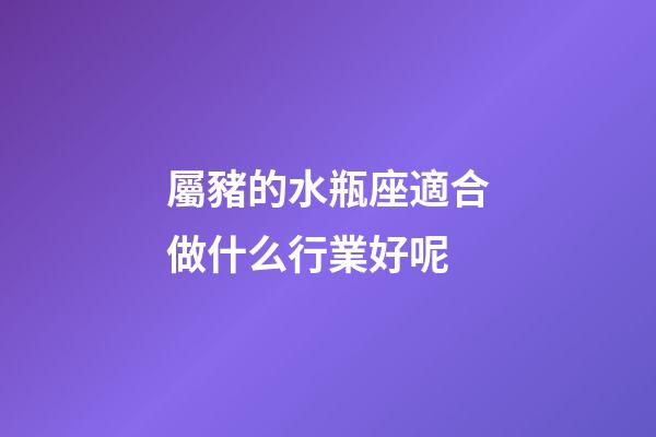 屬豬的水瓶座適合做什么行業好呢
