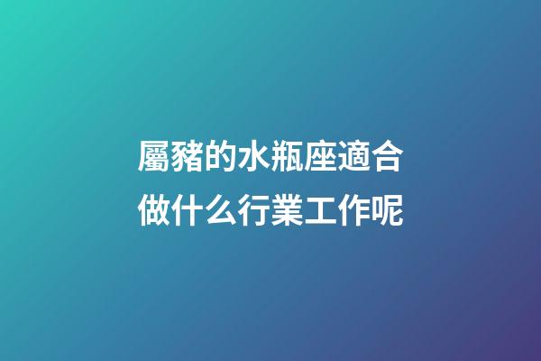 屬豬的水瓶座適合做什么行業工作呢-第1張-星座運勢-玄機派