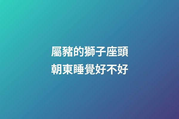 屬豬的獅子座頭朝東睡覺好不好-第1張-星座運勢-玄機派
