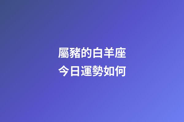 屬豬的白羊座今日運勢如何-第1張-星座運勢-玄機派