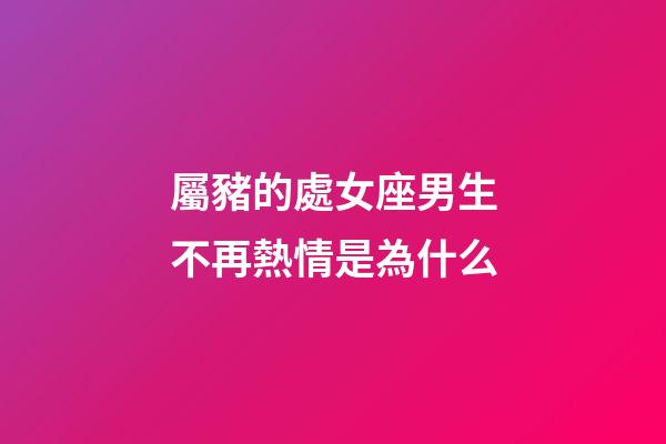 屬豬的處女座男生不再熱情是為什么-第1張-星座運勢-玄機派