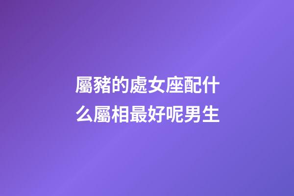 屬豬的處女座配什么屬相最好呢男生-第1張-星座運勢-玄機派