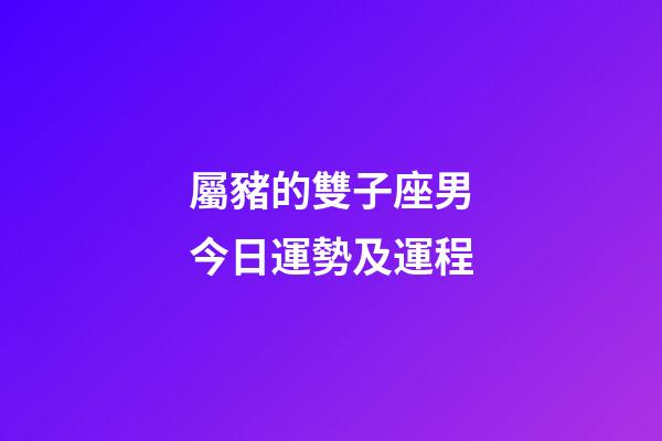屬豬的雙子座男今日運勢及運程-第1張-星座運勢-玄機派