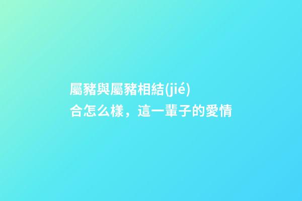 屬豬與屬豬相結(jié)合怎么樣，這一輩子的愛情-第1張-觀點-玄機派