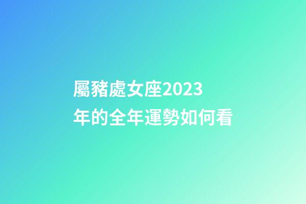 屬豬處女座2023年的全年運勢如何看-第1張-星座運勢-玄機派
