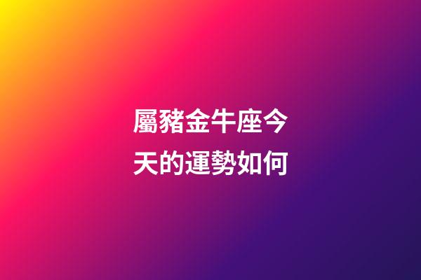 屬豬金牛座今天的運勢如何
