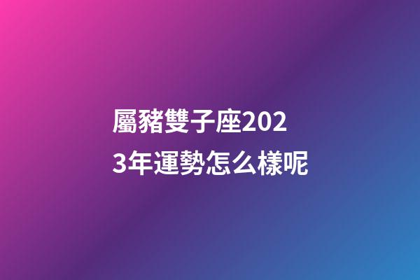 屬豬雙子座2023年運勢怎么樣呢-第1張-星座運勢-玄機派