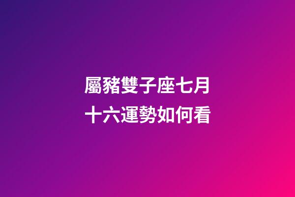 屬豬雙子座七月十六運勢如何看-第1張-星座運勢-玄機派