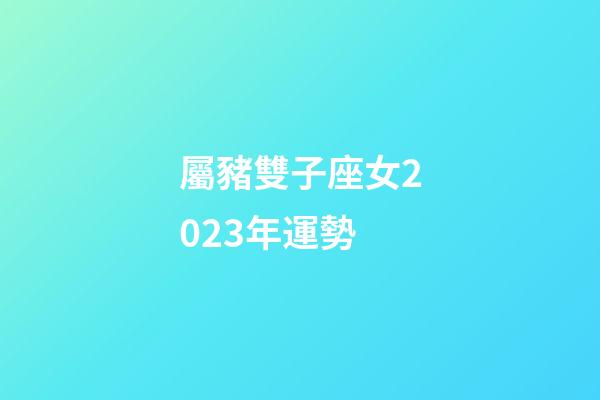 屬豬雙子座女2023年運勢-第1張-星座運勢-玄機派