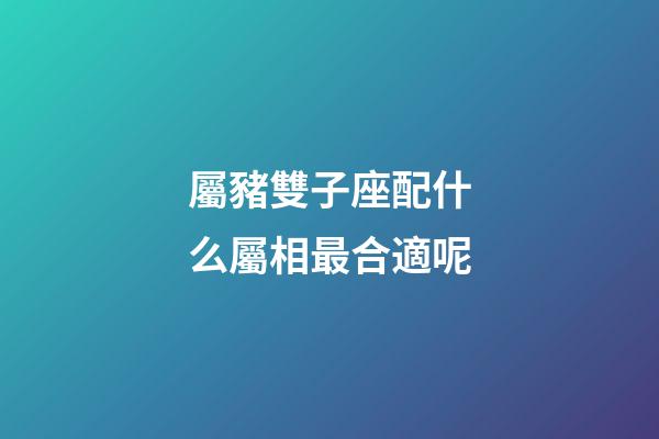 屬豬雙子座配什么屬相最合適呢