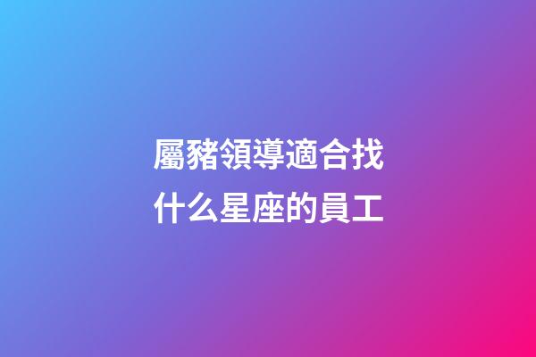 屬豬領導適合找什么星座的員工