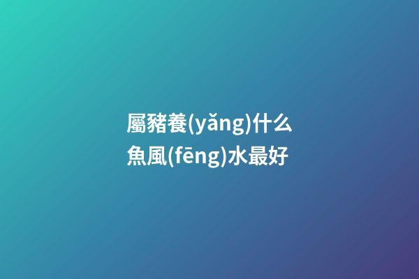 屬豬養(yǎng)什么魚風(fēng)水最好