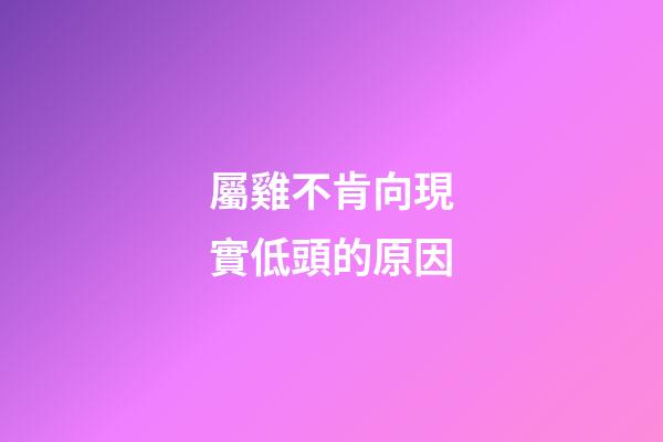 屬雞不肯向現實低頭的原因