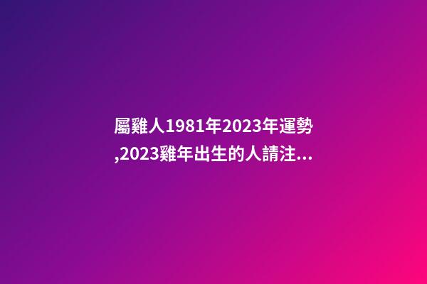 屬雞人1981年2023年運勢,2023雞年出生的人請注意!事業有機會-第1張-觀點-玄機派