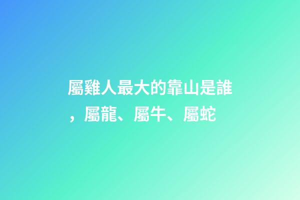 屬雞人最大的靠山是誰，屬龍、屬牛、屬蛇