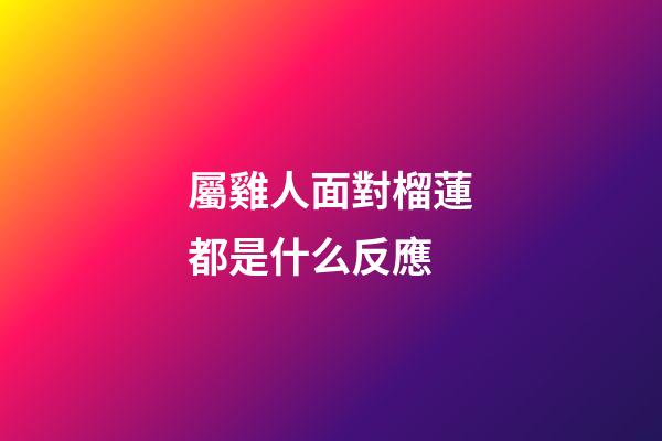 屬雞人面對榴蓮都是什么反應