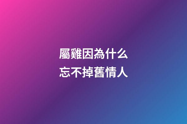 屬雞因為什么忘不掉舊情人