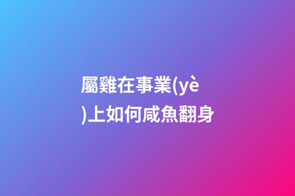 屬雞在事業(yè)上如何咸魚翻身