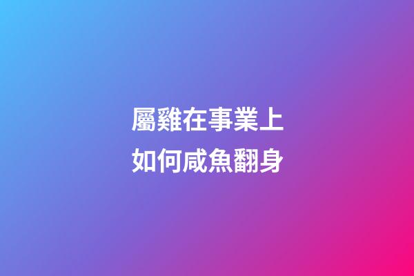 屬雞在事業上如何咸魚翻身