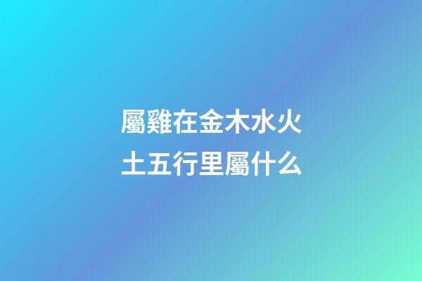 屬雞在金木水火土五行里屬什么