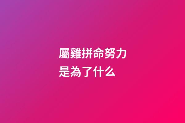 屬雞拼命努力是為了什么