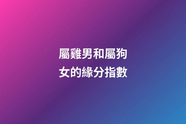 屬雞男和屬狗女的緣分指數