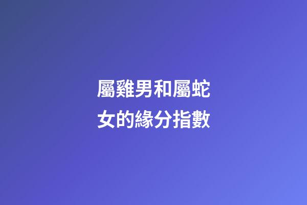 屬雞男和屬蛇女的緣分指數