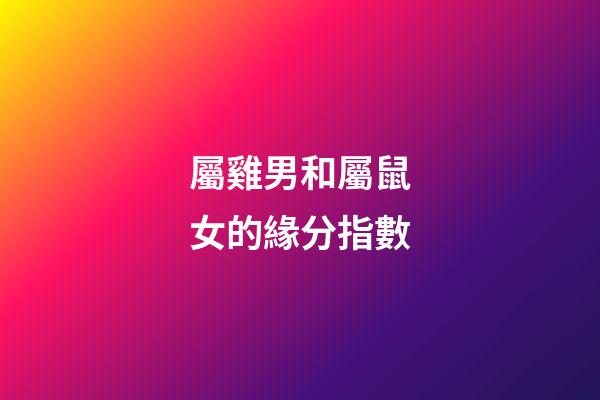 屬雞男和屬鼠女的緣分指數