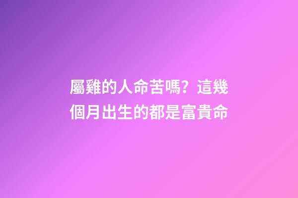 屬雞的人命苦嗎？這幾個月出生的都是富貴命