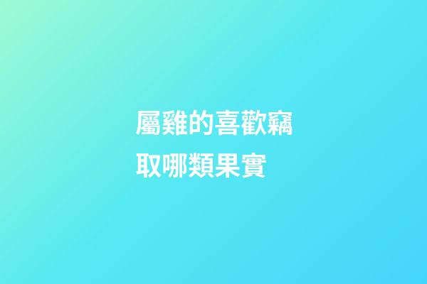屬雞的喜歡竊取哪類果實