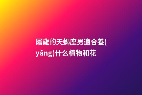 屬雞的天蝎座男適合養(yǎng)什么植物和花