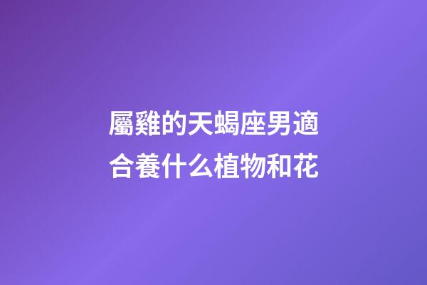屬雞的天蝎座男適合養什么植物和花-第1張-星座運勢-玄機派