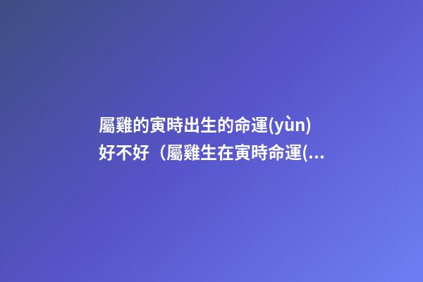 屬雞的寅時出生的命運(yùn)好不好（屬雞生在寅時命運(yùn)怎么樣）