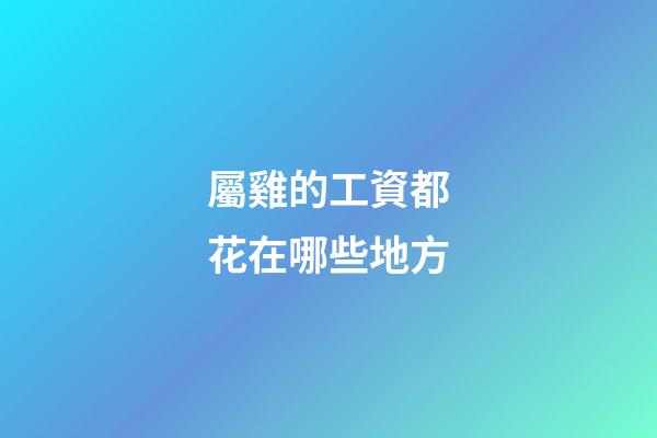 屬雞的工資都花在哪些地方