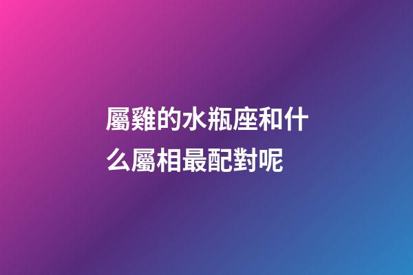 屬雞的水瓶座和什么屬相最配對呢-第1張-星座運勢-玄機派