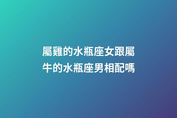 屬雞的水瓶座女跟屬牛的水瓶座男相配嗎-第1張-星座運(yùn)勢(shì)-玄機(jī)派
