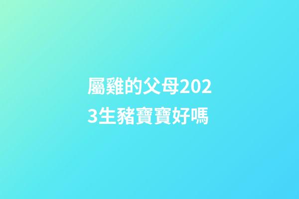 屬雞的父母2023生豬寶寶好嗎
