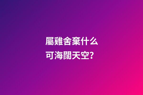 屬雞舍棄什么可海闊天空？