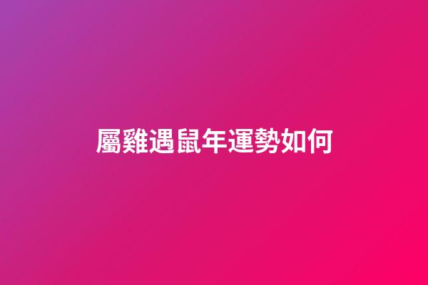 屬雞遇鼠年運勢如何
