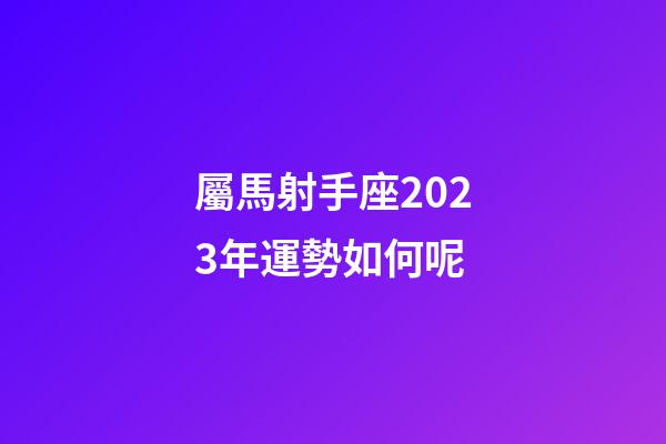 屬馬射手座2023年運勢如何呢-第1張-星座運勢-玄機派