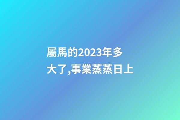 屬馬的2023年多大了,事業蒸蒸日上-第1張-觀點-玄機派