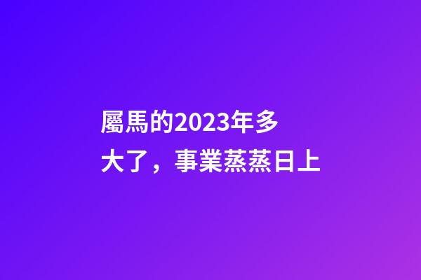 屬馬的2023年多大了，事業蒸蒸日上-第1張-觀點-玄機派