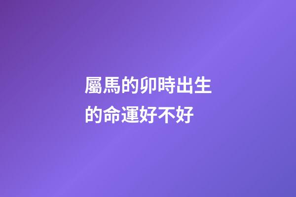 屬馬的卯時出生的命運好不好