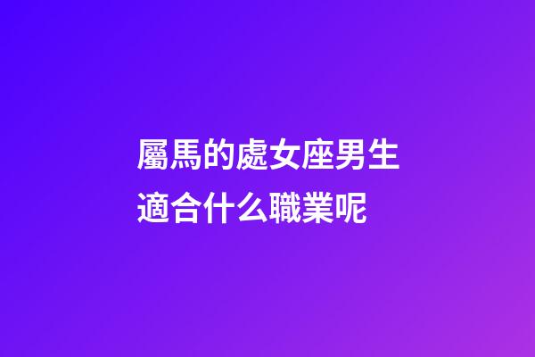 屬馬的處女座男生適合什么職業呢-第1張-星座運勢-玄機派