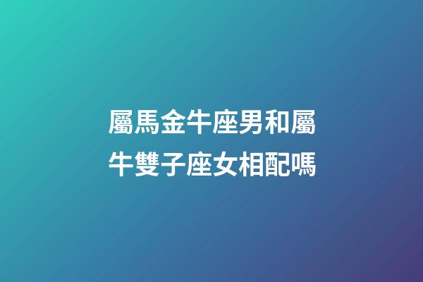 屬馬金牛座男和屬牛雙子座女相配嗎-第1張-星座運勢-玄機派