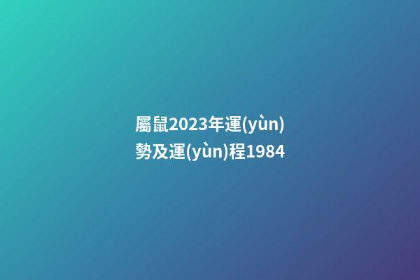 屬鼠2023年運(yùn)勢及運(yùn)程1984