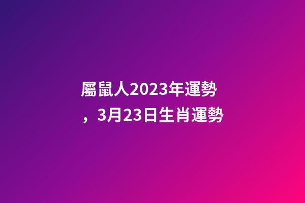 屬鼠人2023年運勢，3月23日生肖運勢-第1張-觀點-玄機派