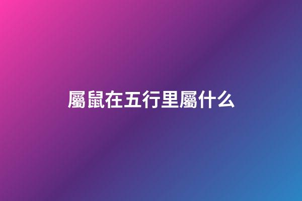 屬鼠在五行里屬什么