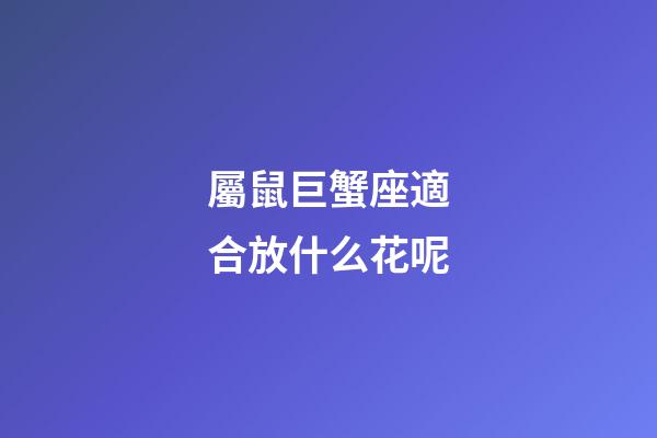 屬鼠巨蟹座適合放什么花呢
